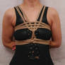 Chest Harness