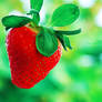 StrawberryIII