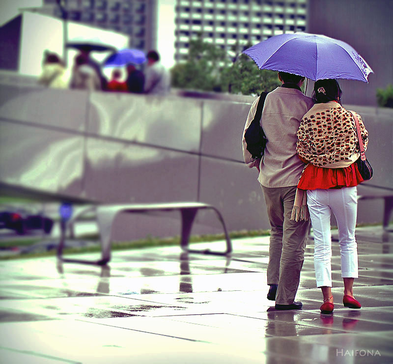 Love Rain