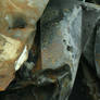 burned car 4