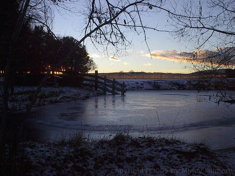 Winter Pond 2