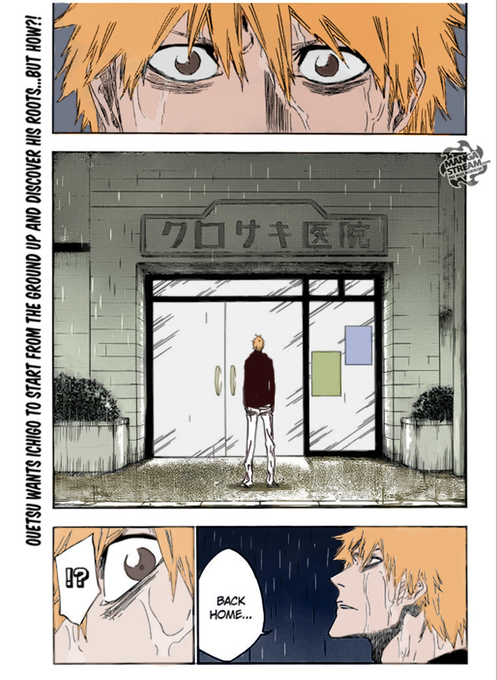 Bleach Chapter 528 colored by EriChaan on DeviantArt