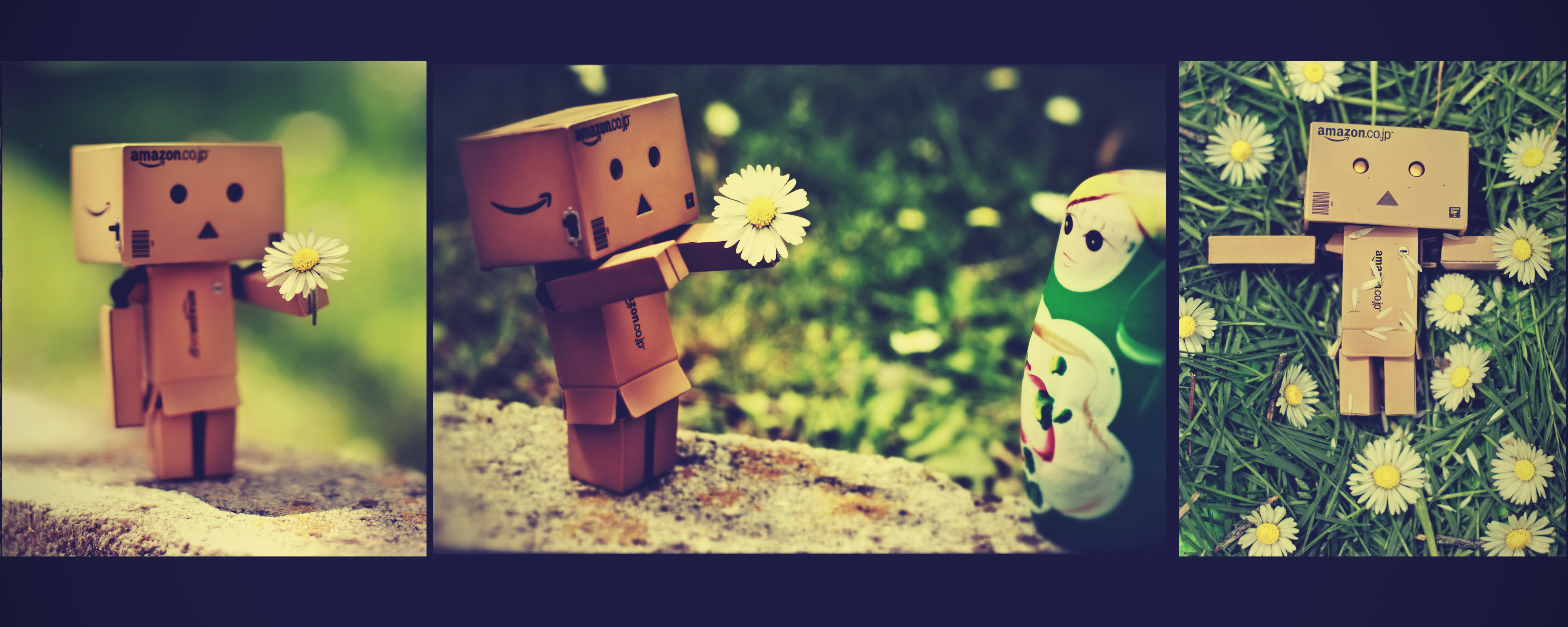 Danbo Love Series