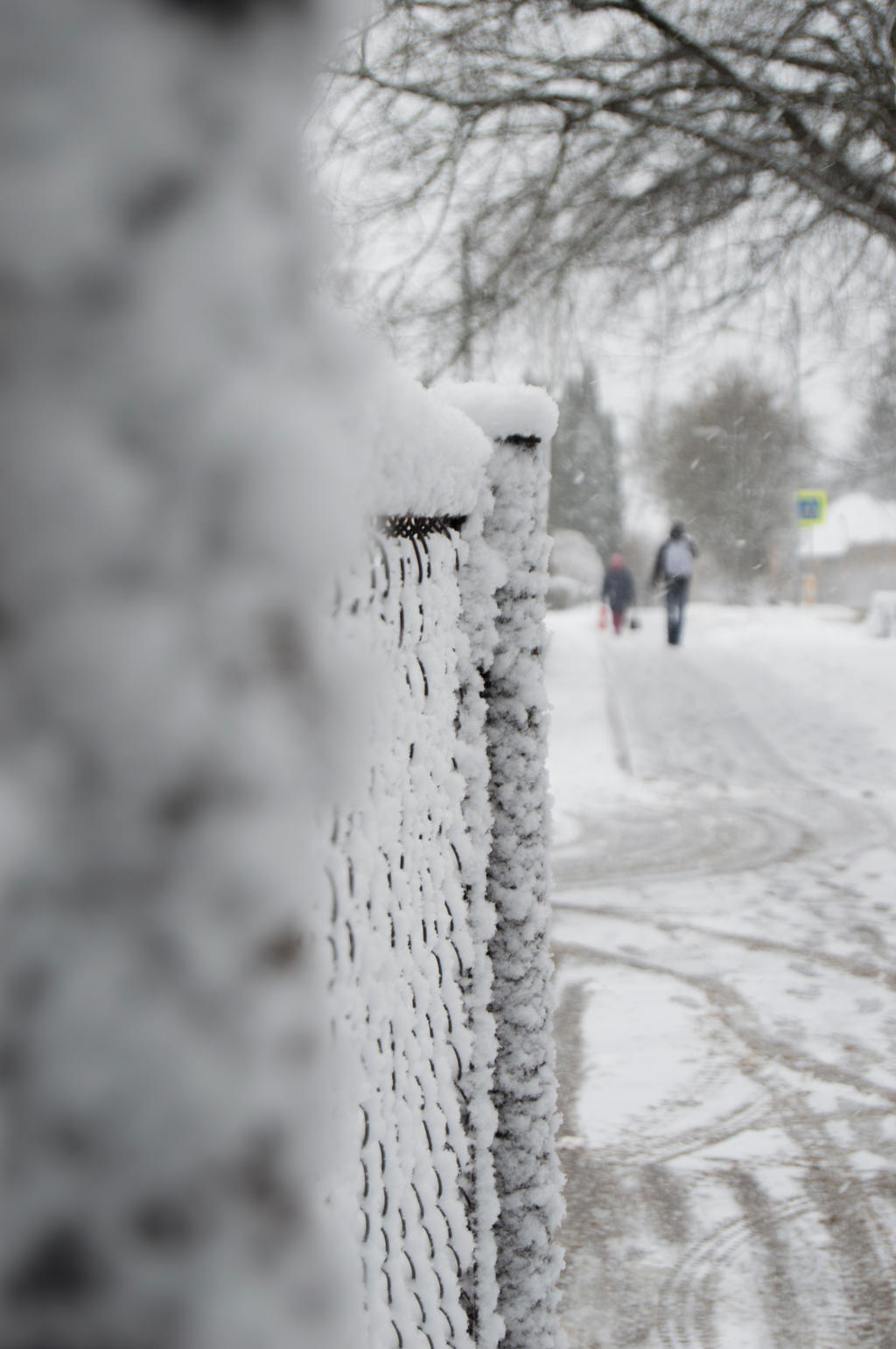 Snowy day