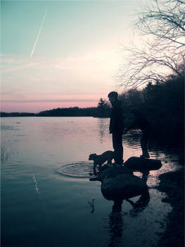 Skipping stones