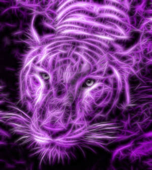 Purple Tiger Fractals