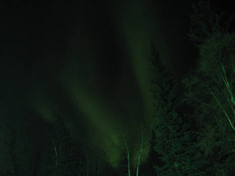 Northern Lights