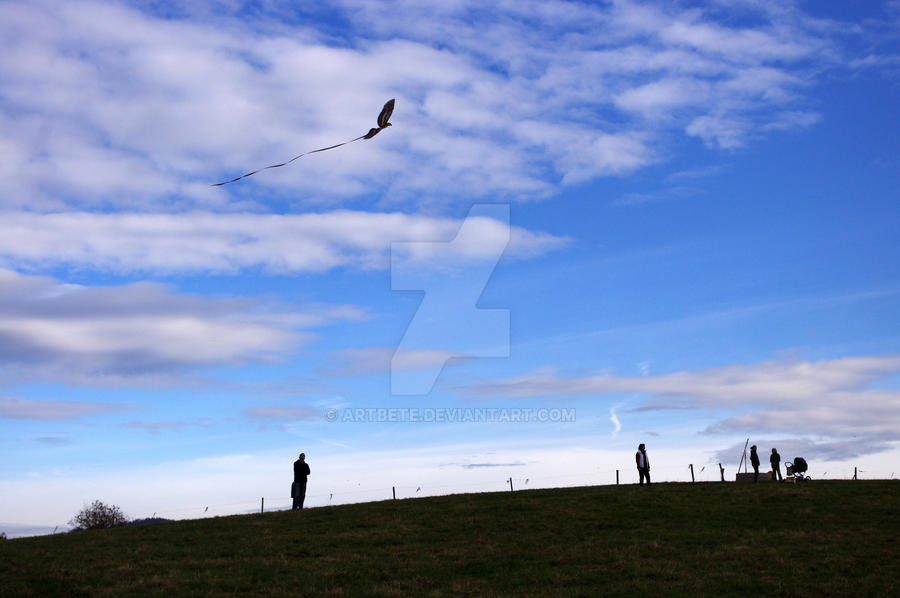 Argabrite Kite Kiteflying by ArtBETE on DeviantArt