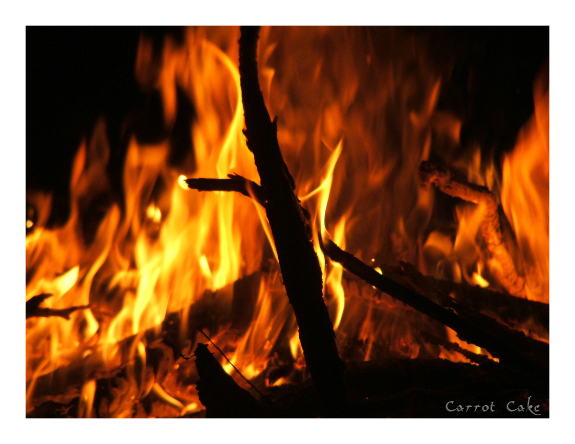 Campfire closeup