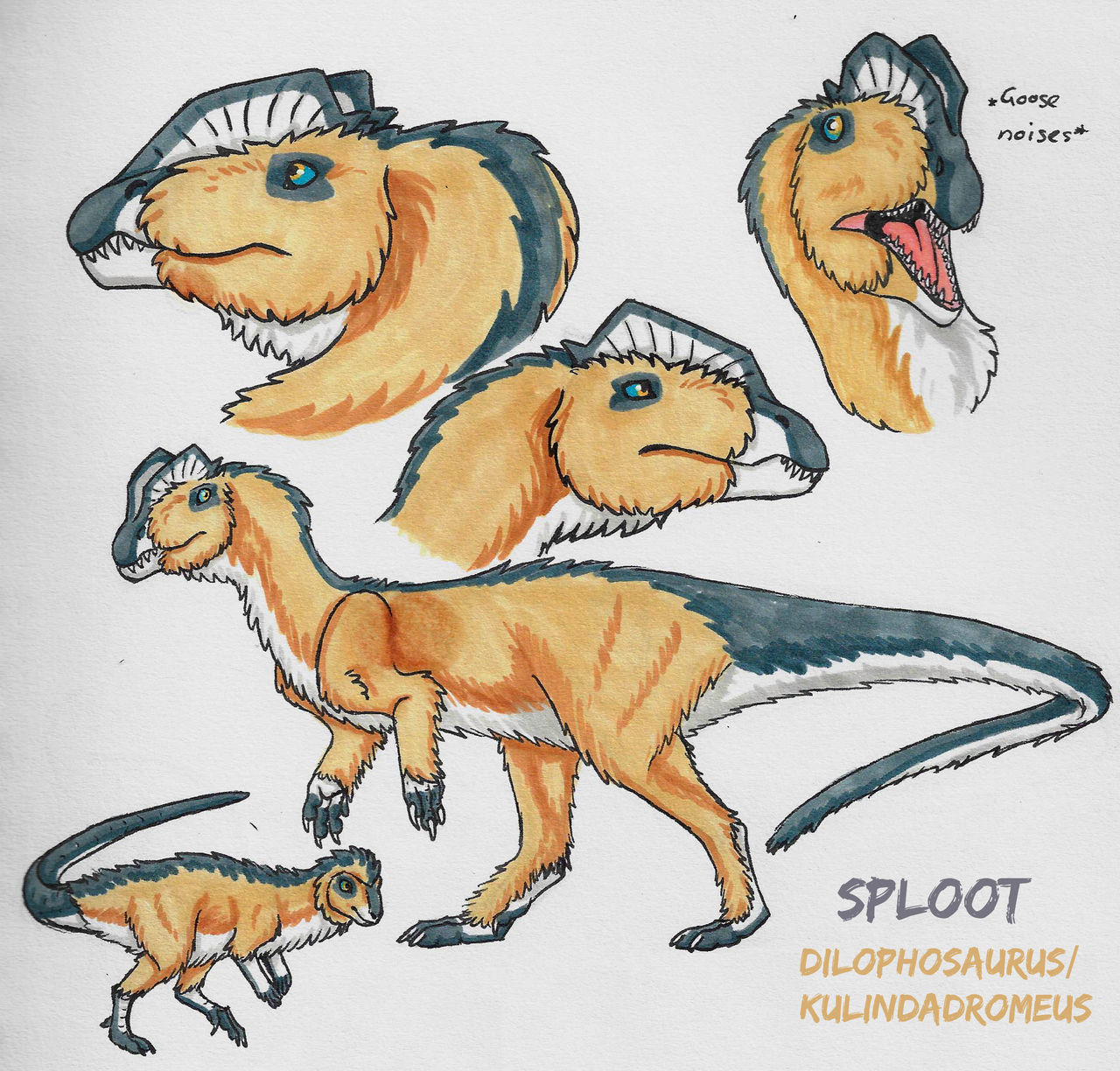 Sploots by PencilPavlova on DeviantArt