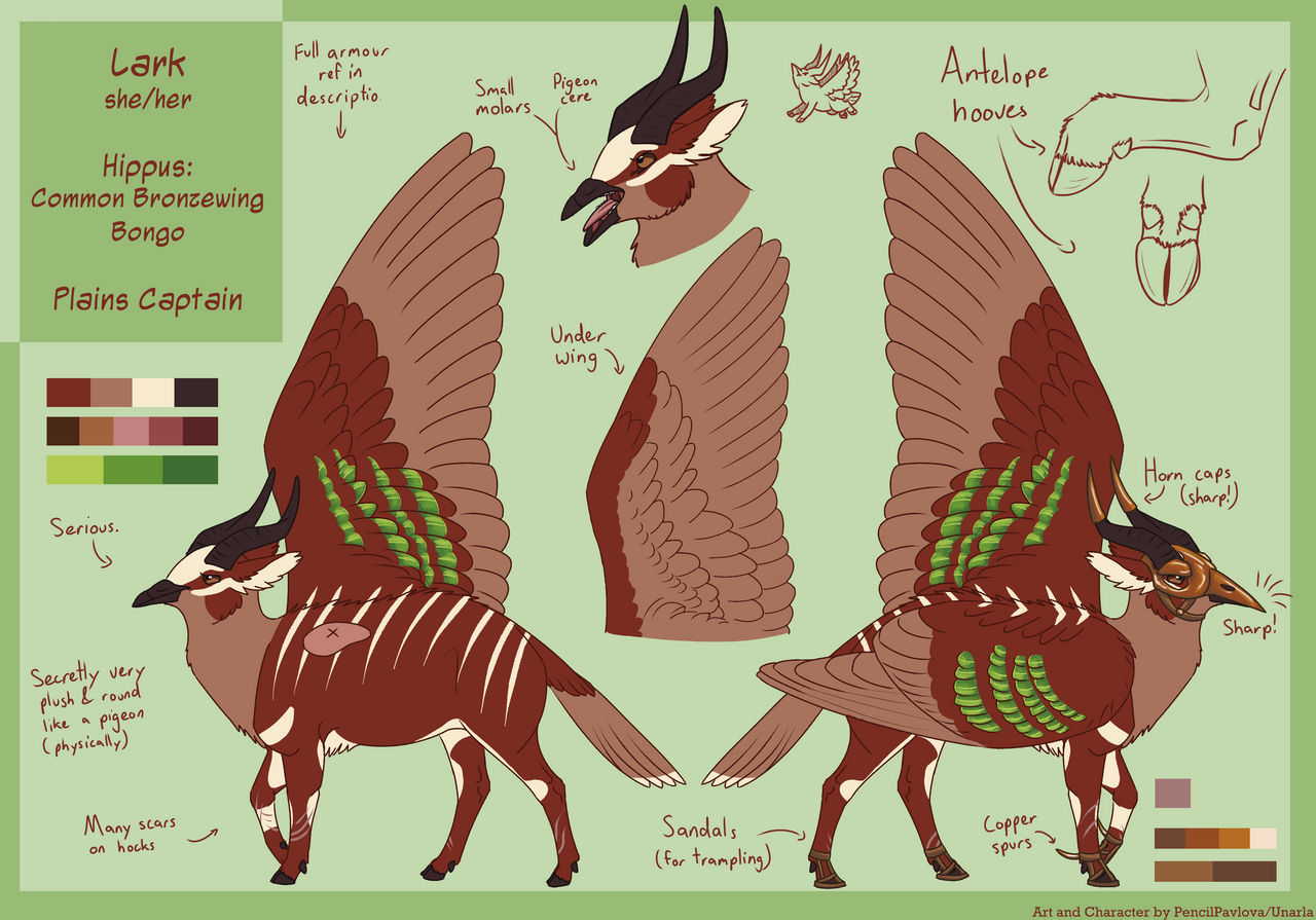 Lark ref 2022 by PencilPavlova on DeviantArt