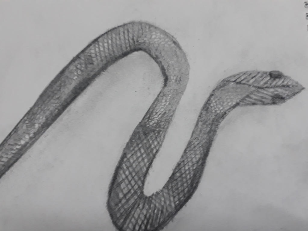 silver serpent. by fazimeza on DeviantArt