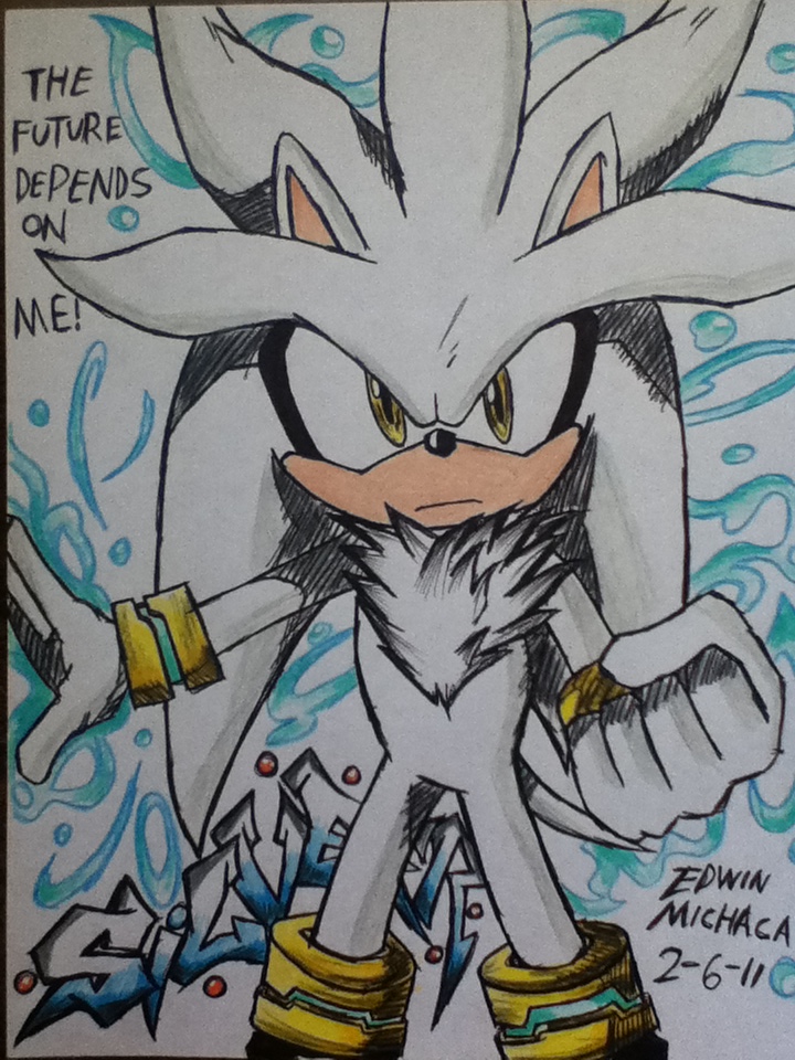 Silver Hedgehog