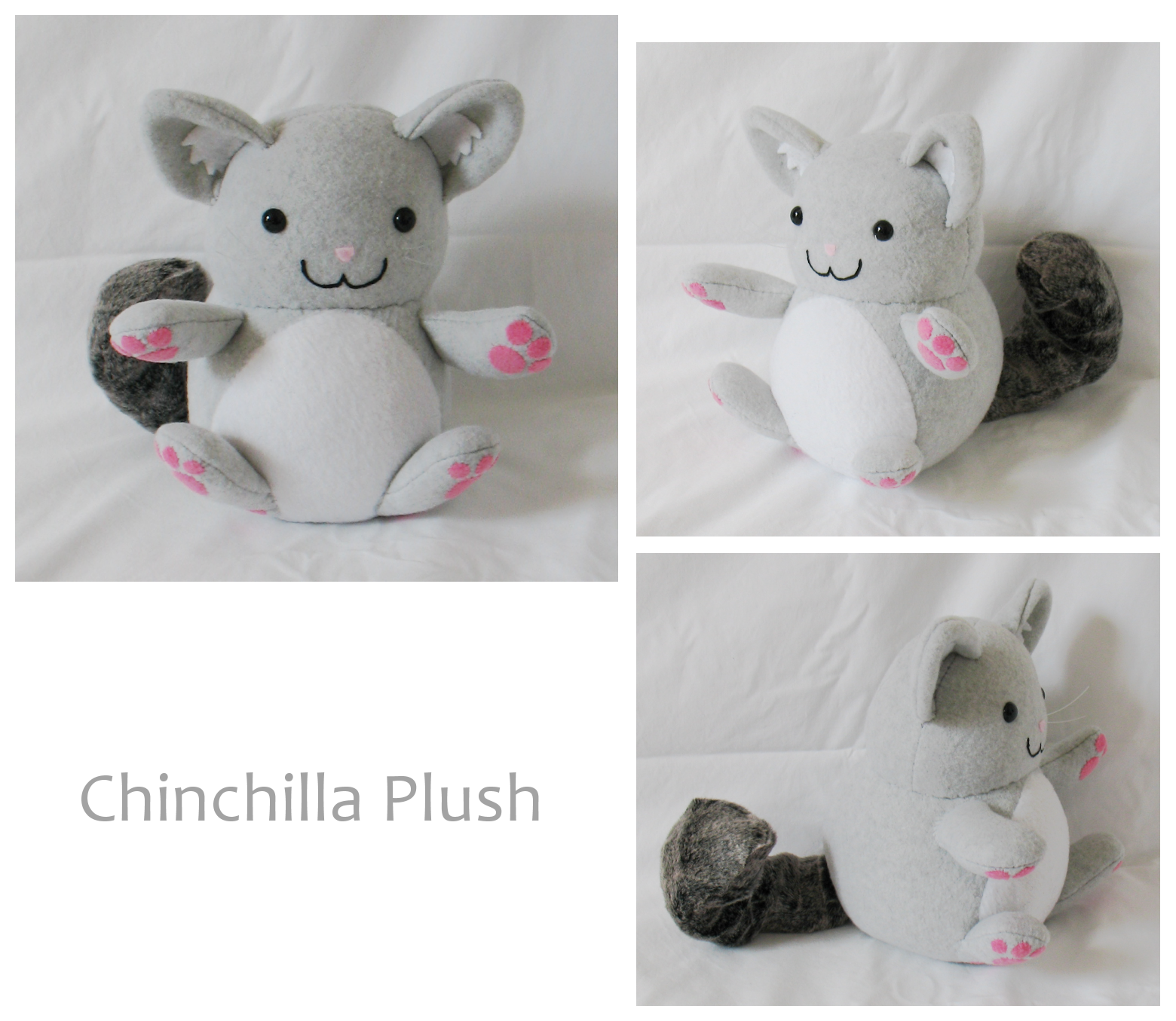 Chinchilla