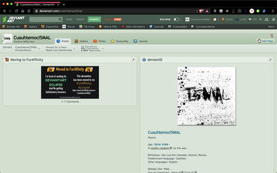 My DeviantArt Profile with the Old Layout