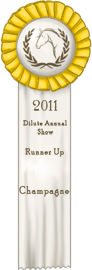 D.A.S Runner up Ribbon