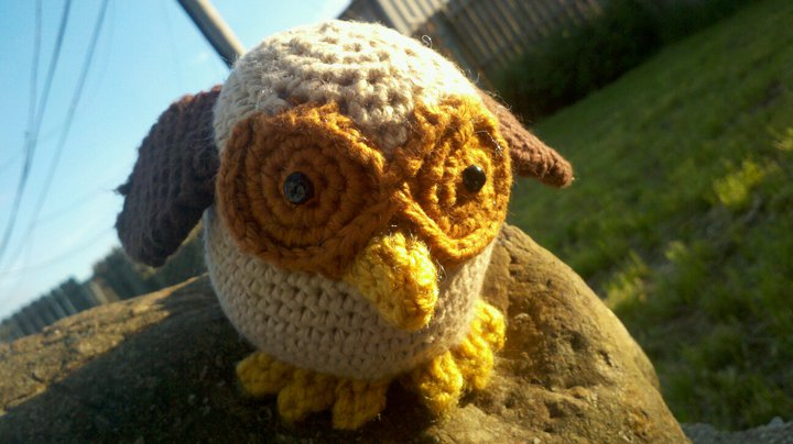 Eliot the Owlet