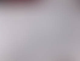 Nudist rollerblading night