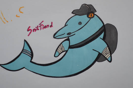 my scout dolphin