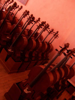 Cello Army