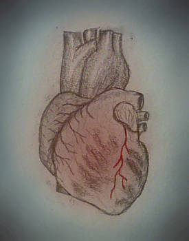 heart.