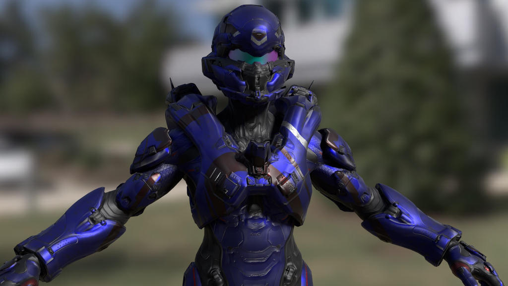 Armor customization (Halo 5: Guardians) - Halopedia, the Halo wiki
