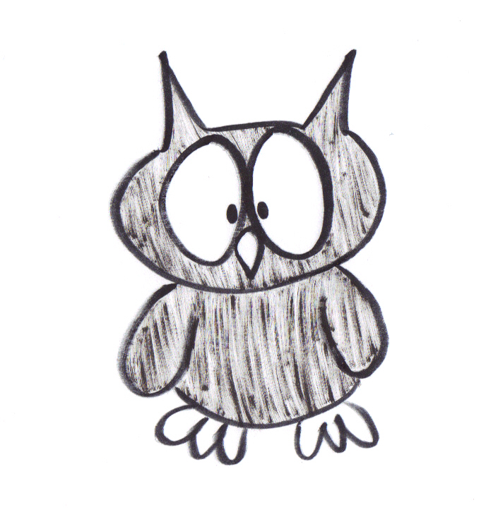 Owl Sketch