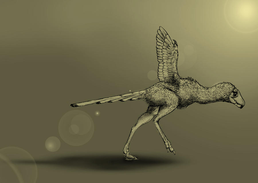 Dracornis germanicus