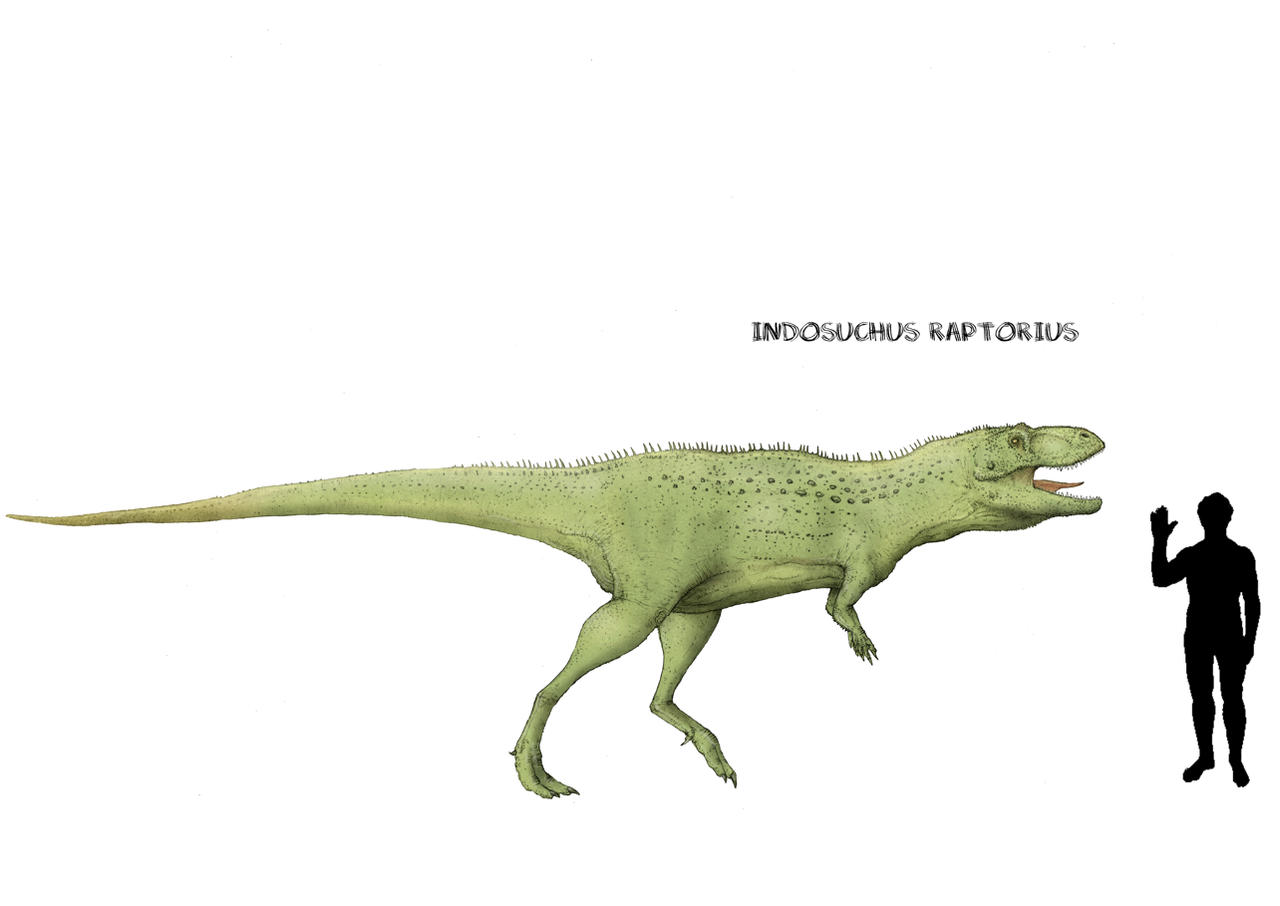 Indosuchus