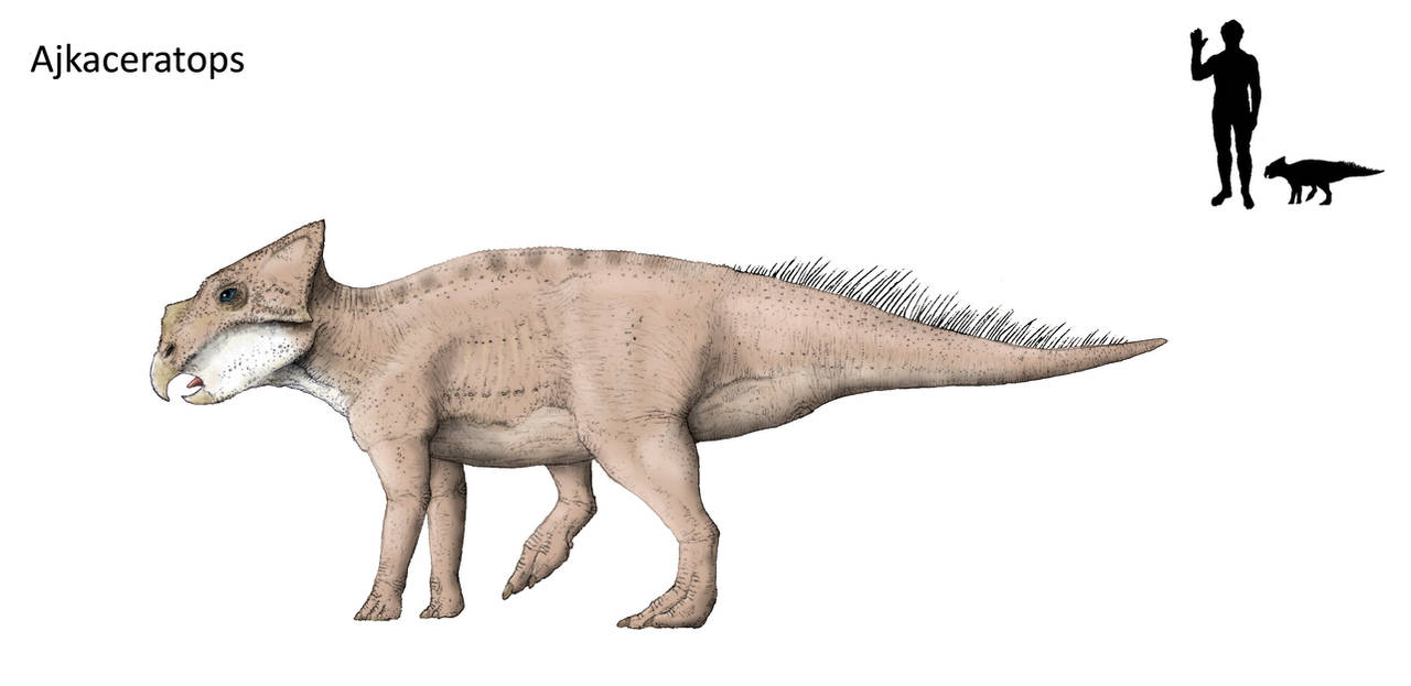 Ajkaceratops by Hyrotrioskjan