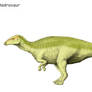 Untitled hadrosaur