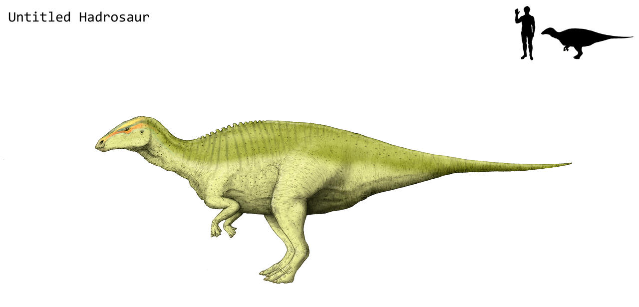 Hadrox Image Untitled hadrosaur by Hyrotrioskjan on DeviantArt