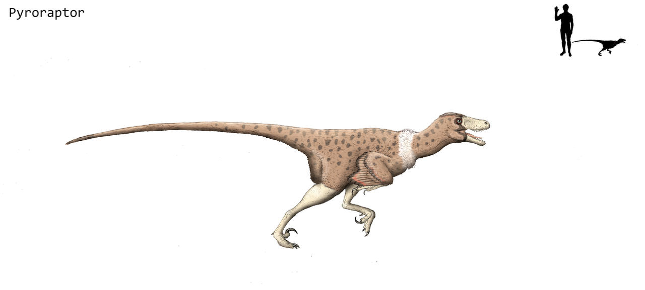 Pyroraptor