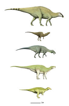 Island Ornithopods