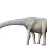 Atsinganosaurus