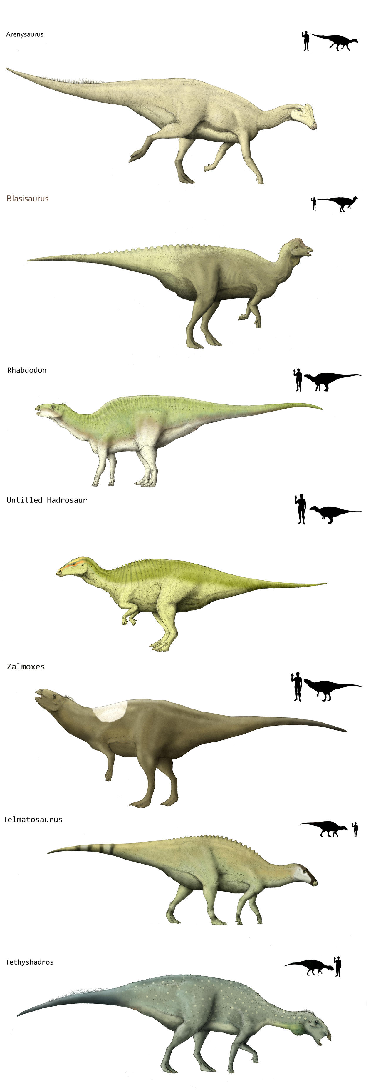 Island ornithopods 2