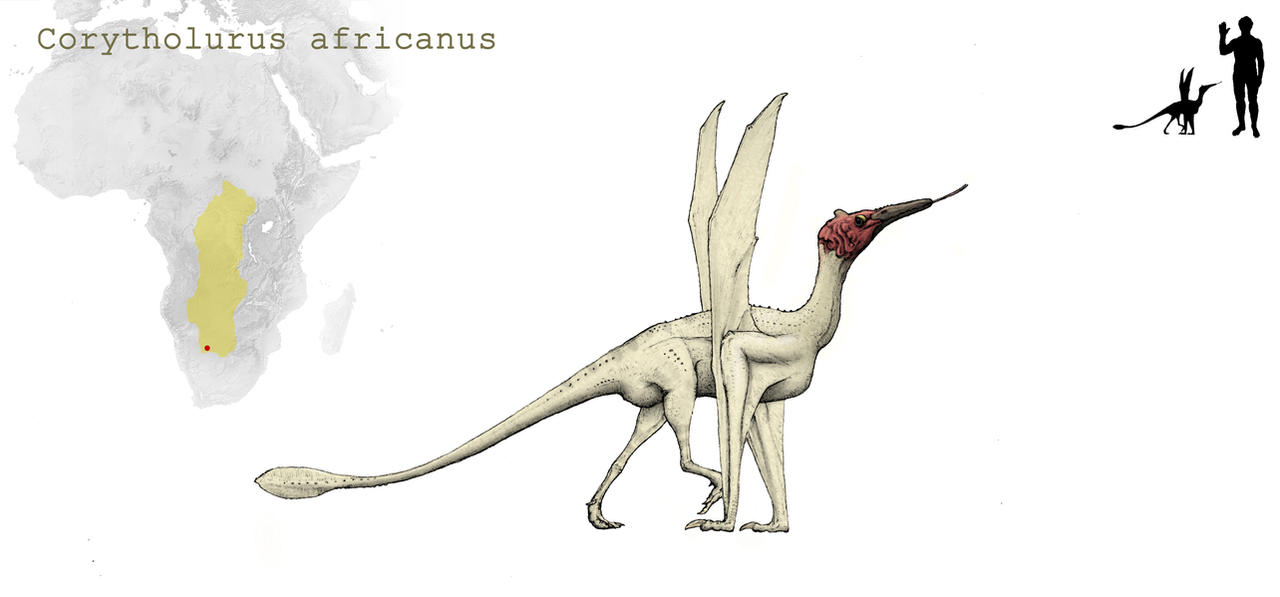 Corytholurus