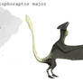 Ascialophoraptor