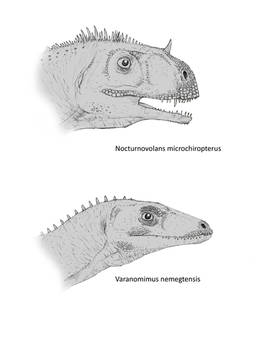 prehistoric Diplopterna