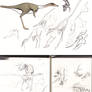 Ceratonykus sketches