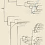 Finish Cladogram