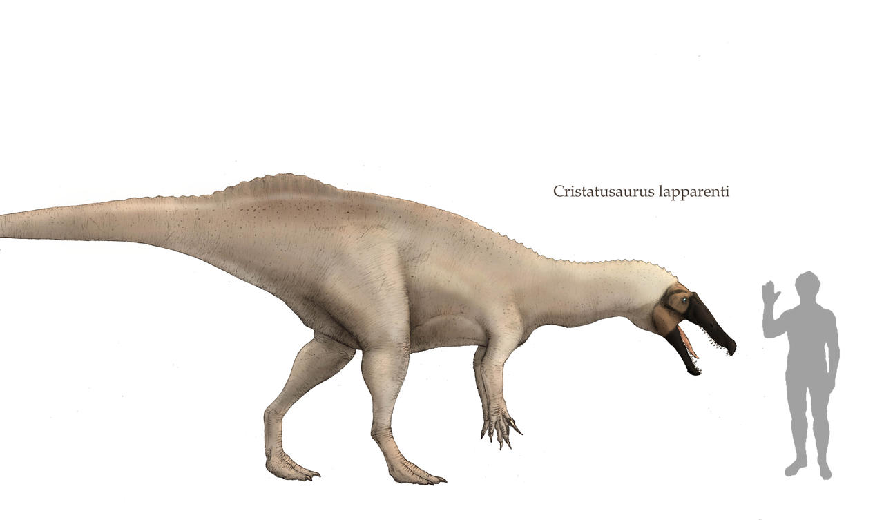 Cristatusaurus