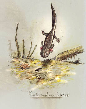 Koolasuchus larvae