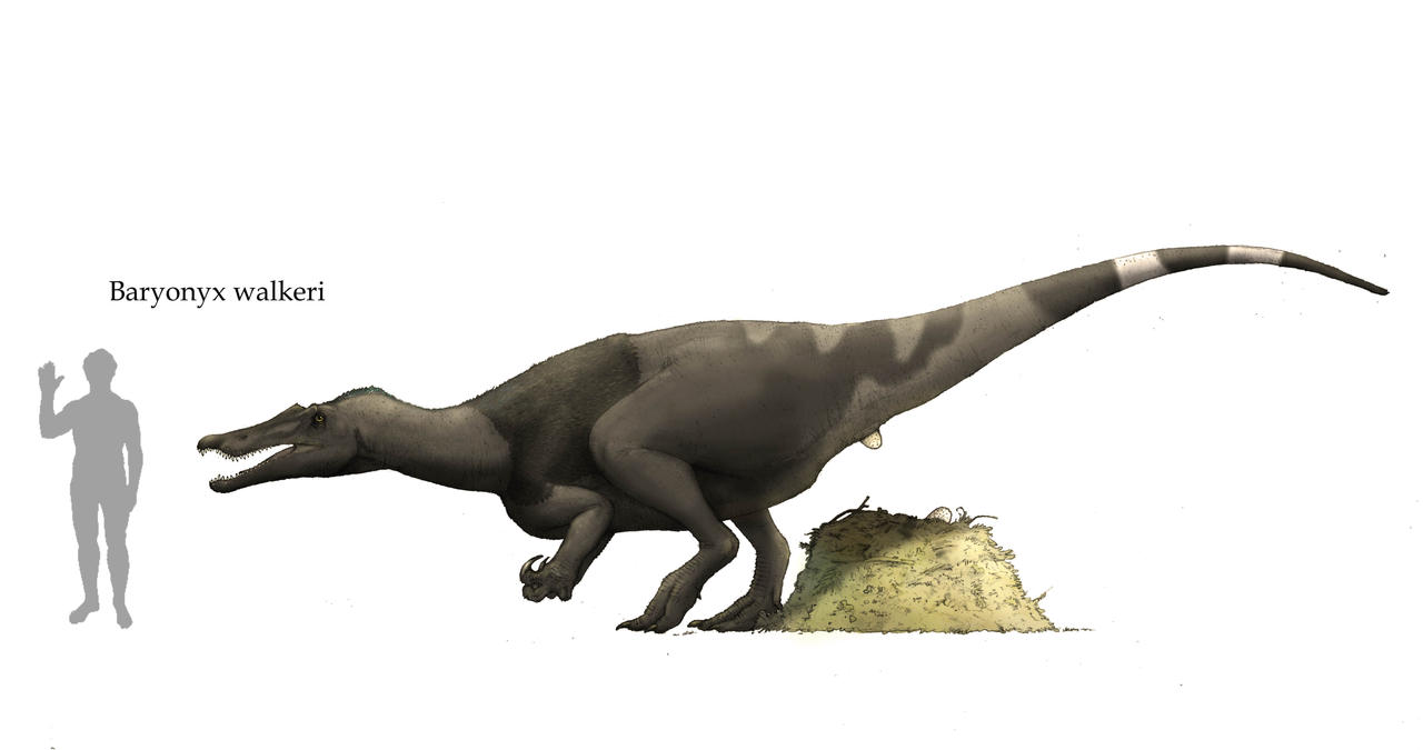 Baryonyx