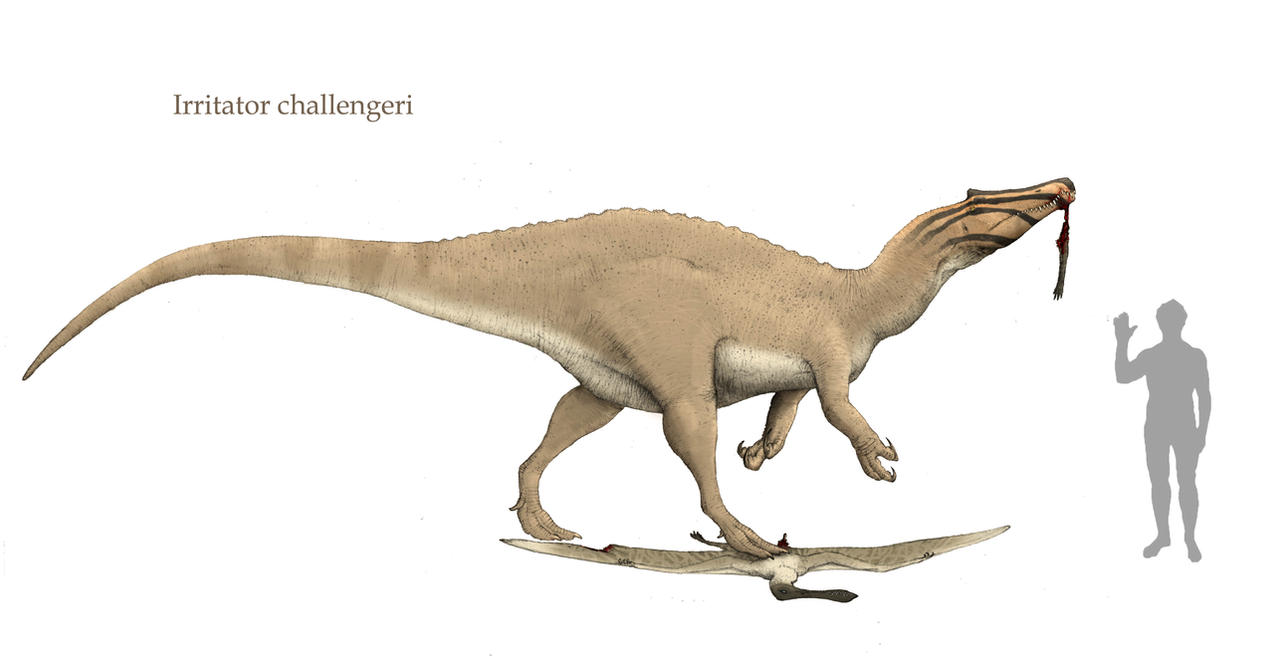Irritator