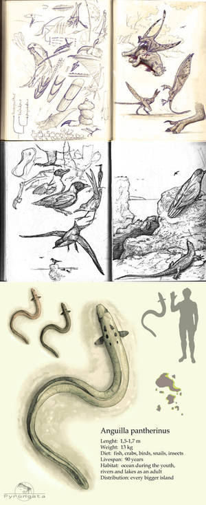 Sketches