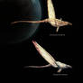 Silvanian flying Pseudo-athropods