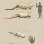 More pseudo-athropods