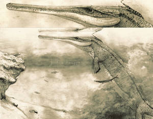 Cricosaurus