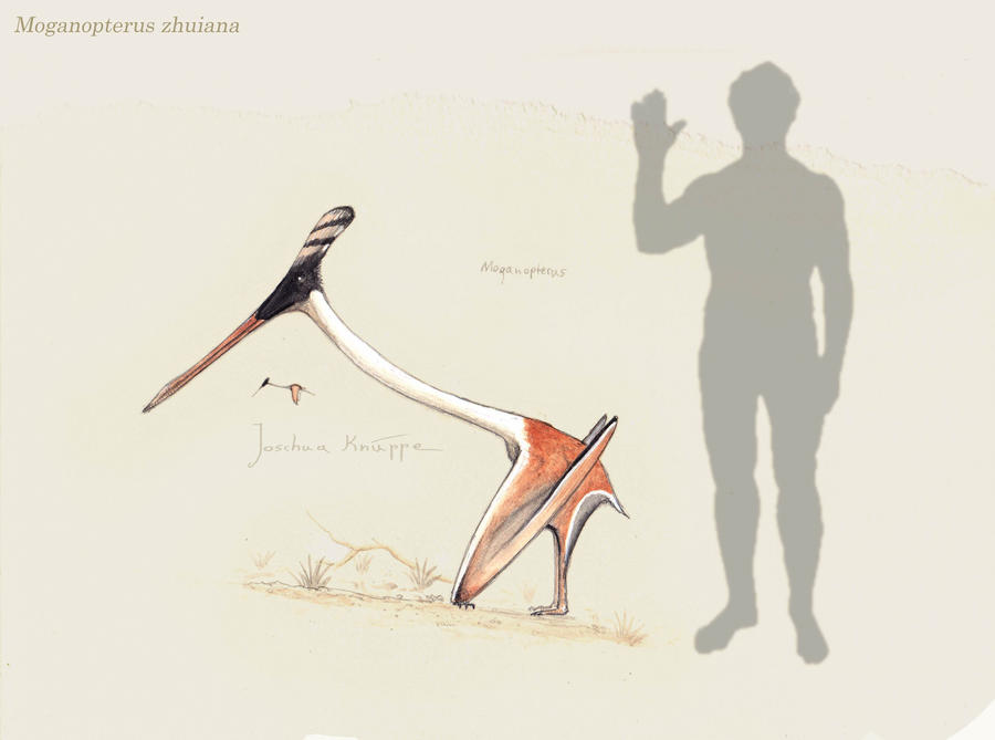 Moganopterus Moganopterus by Hyrotrioskjan on DeviantArt